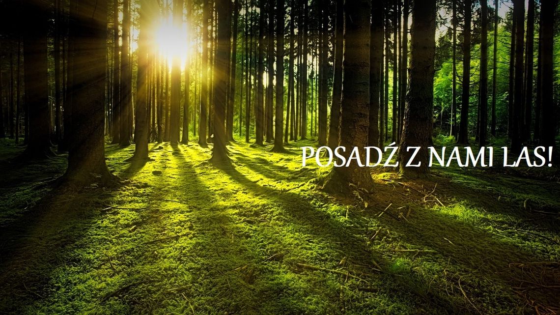 POSADŹ Z NAMI LAS! Dołącz do wyjątkowej akcji Designer Outlet