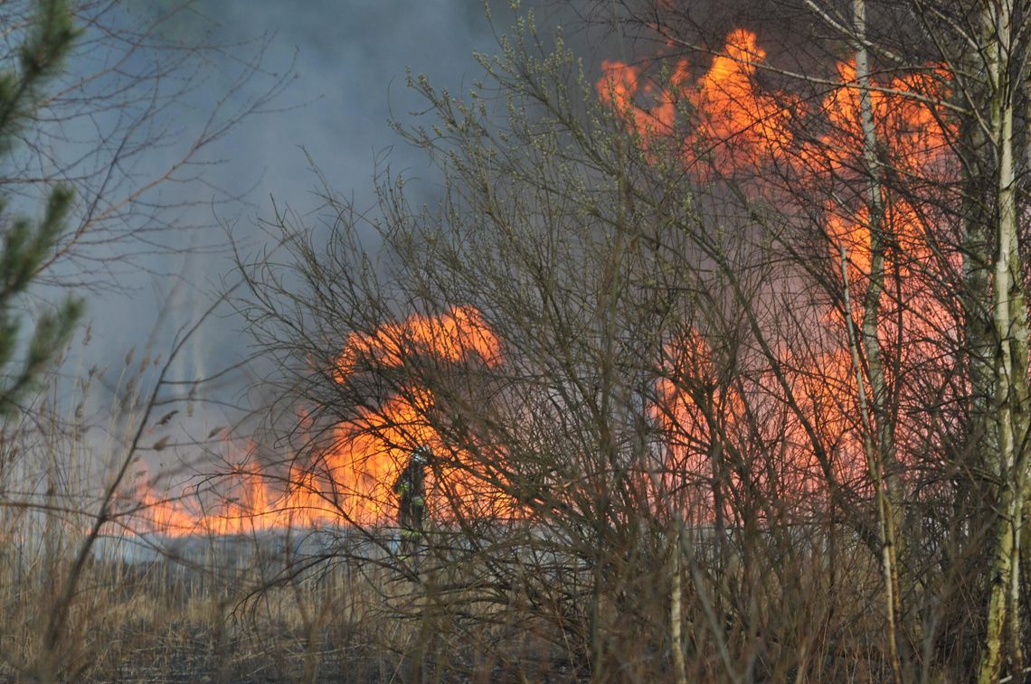 Pożary traw niosą śmierć