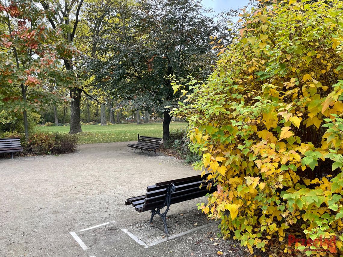 Prognoza pogody dla Piaseczna – co przyniosą najbliższe dni? Prognoza pogody dla Piaseczna – co przyniosą najbliższe dni?