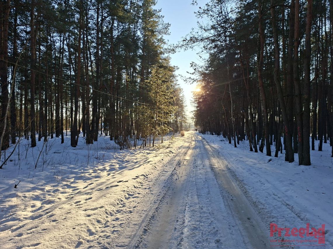 Prognoza pogody dla Piaseczna: śnieg i mróz w weekend