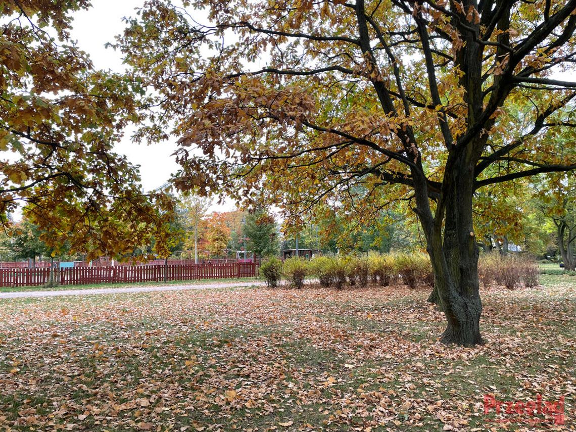 Prognoza pogody w Piasecznie: deszcz, wiatr i delikatny wzrost temperatur Prognoza pogody w Piasecznie: deszcz, wiatr i delikatny wzrost temperatur