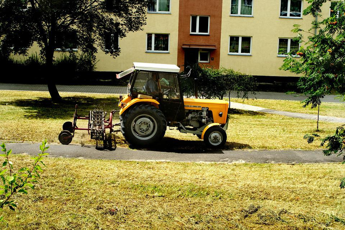 Przeklinasz koszących trawę? Słusznie, czy nie?