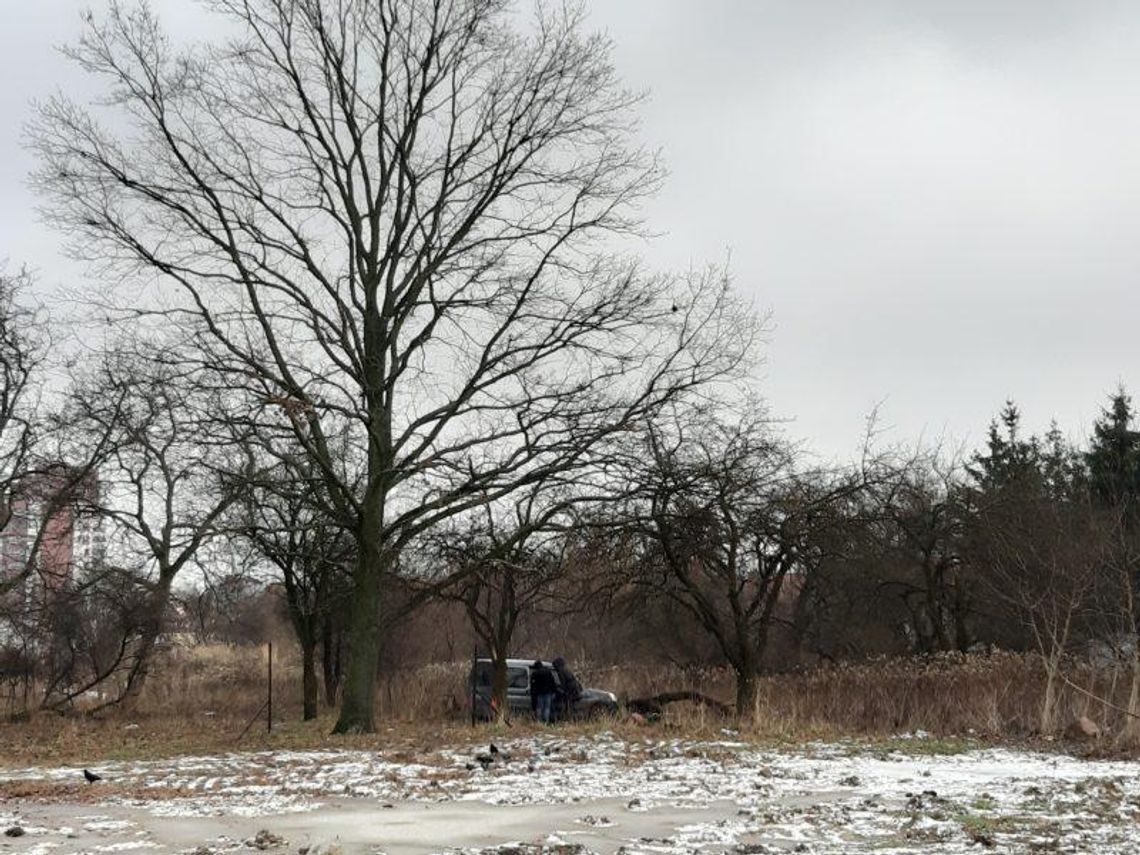 Przestępstwa (raczej) nie było