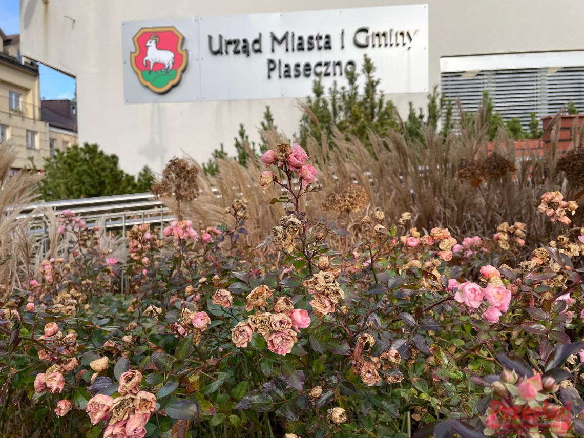 Przyjemna pogoda w Piasecznie – co przyniesie weekend? Przyjemna pogoda w Piasecznie – co przyniesie weekend?