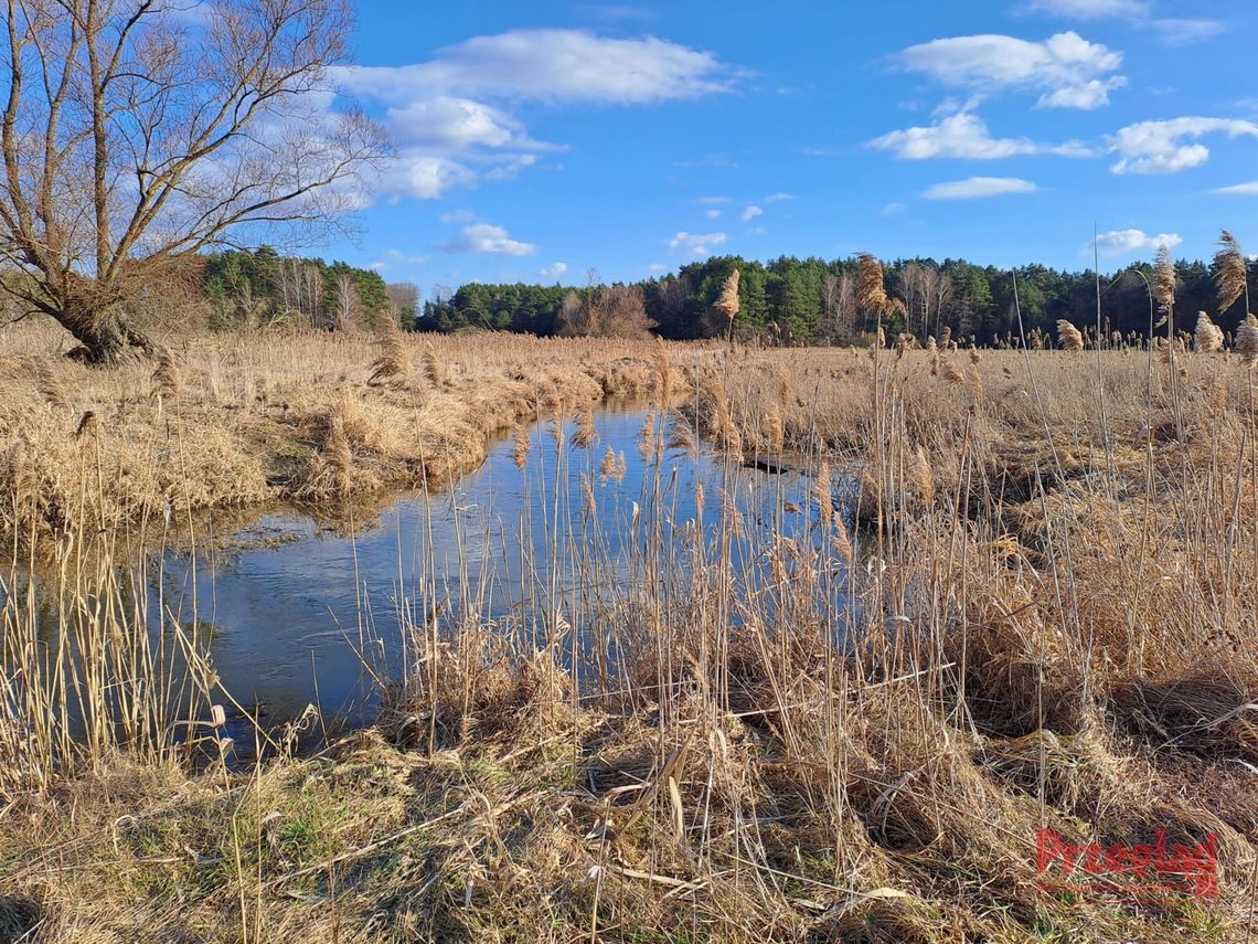 Przyjemna pogoda w Piasecznie – co przyniesie weekend?