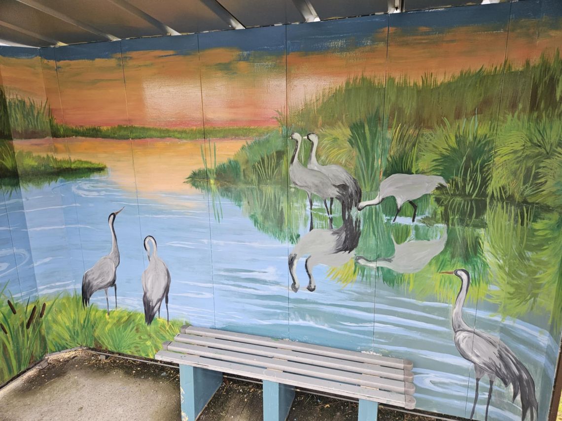 Ptaki na przystanku Ptaki na przystanku