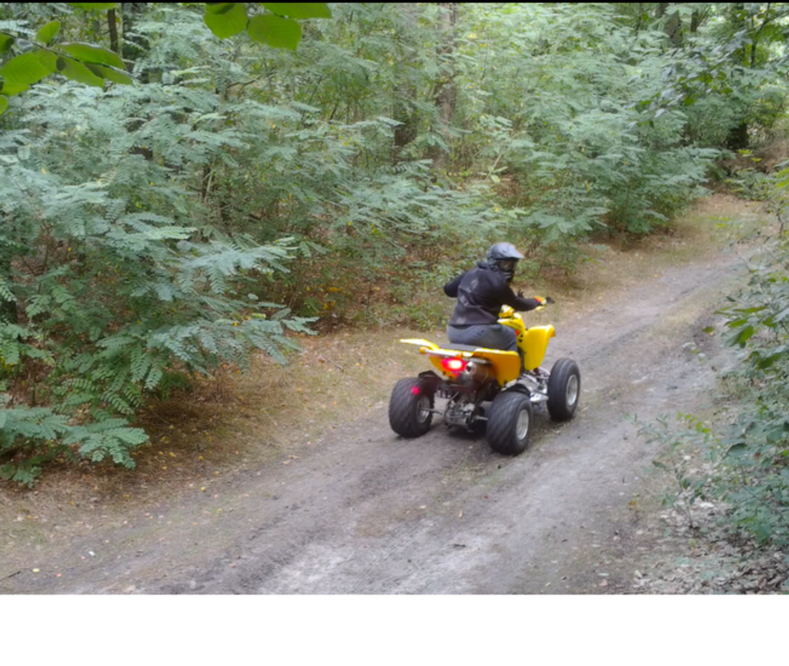Quady i crossy niszczą lasy!