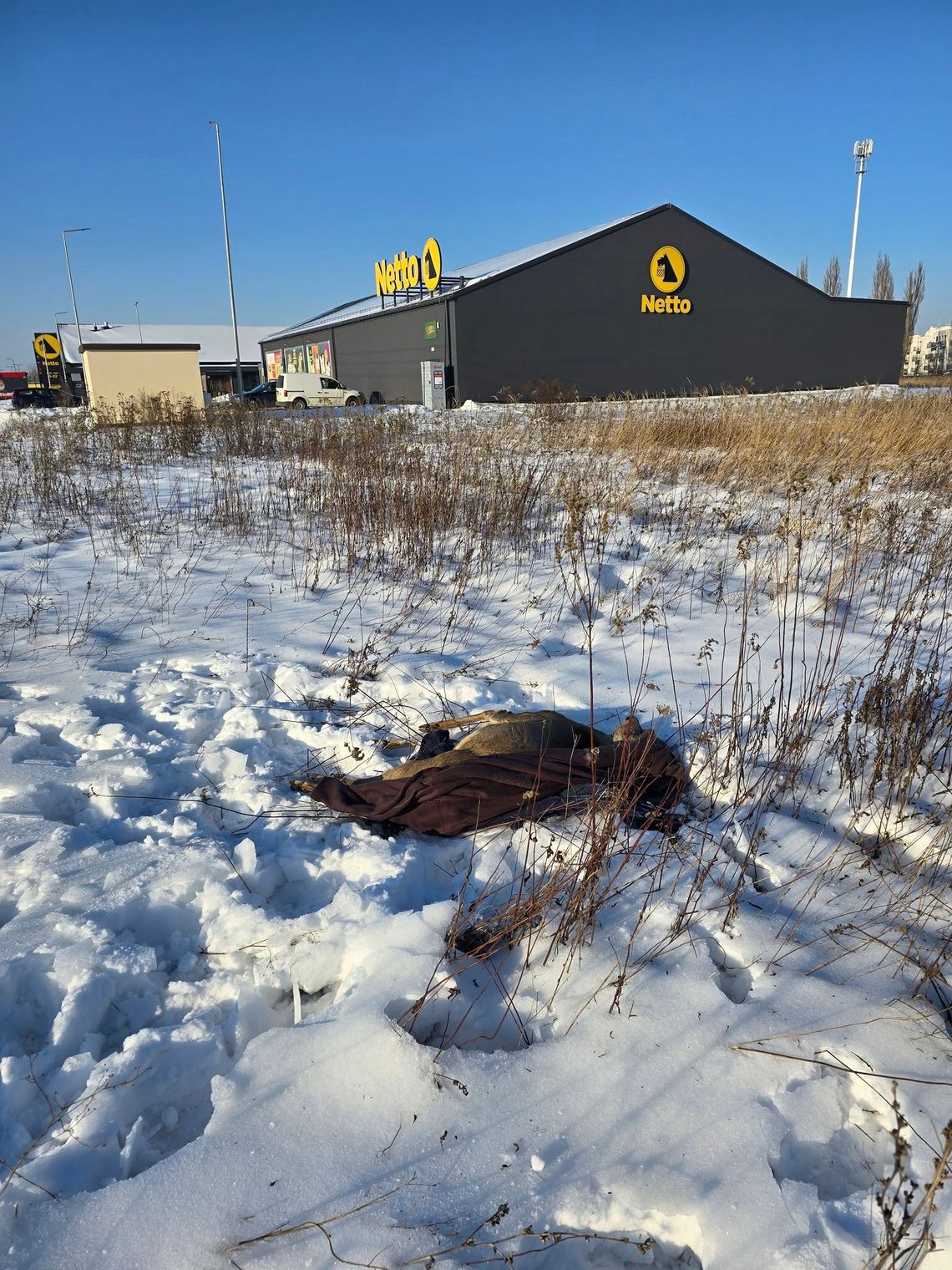 Ranna sarna powodem dyskusji