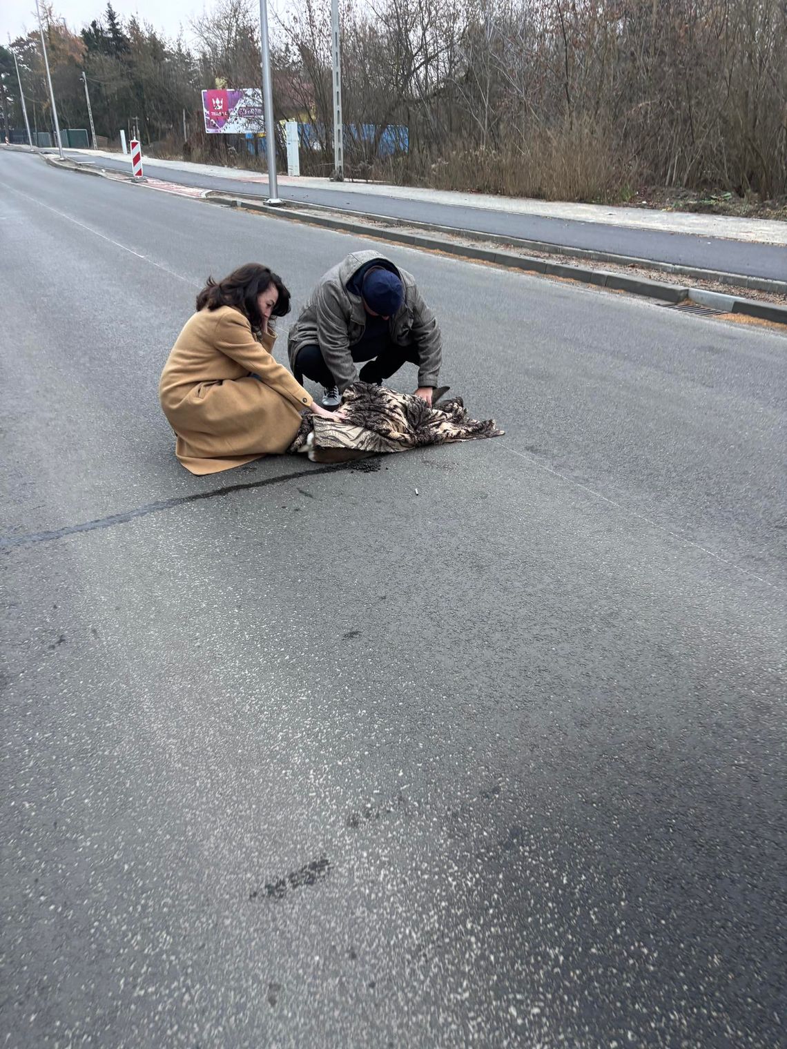 Ranna sarna uratowana dzięki szybkiej reakcji kierowców