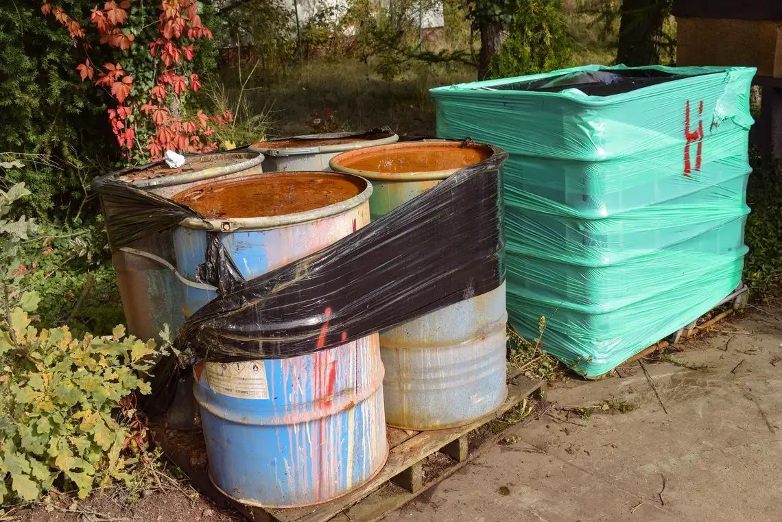 Rok bez chemikaliów Rok bez chemikaliów