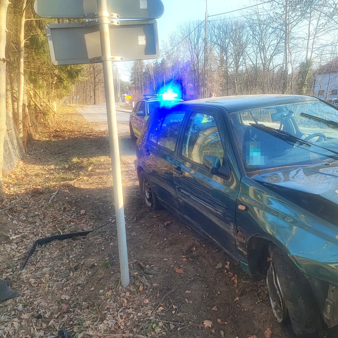 Rozbił auto i winą obarczył… sarny