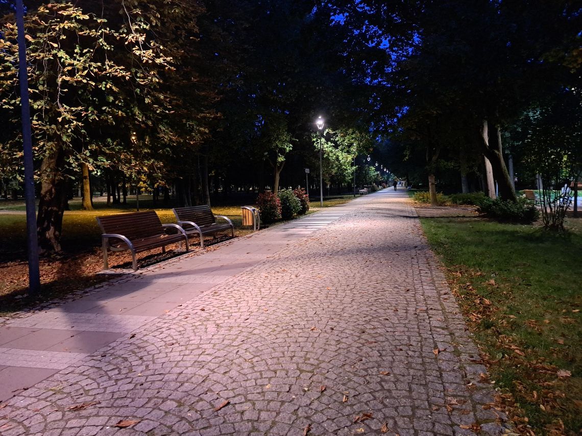 Skwer Seniora w Parku Zdrojowym? Radni podejmą decyzję 15 lipca