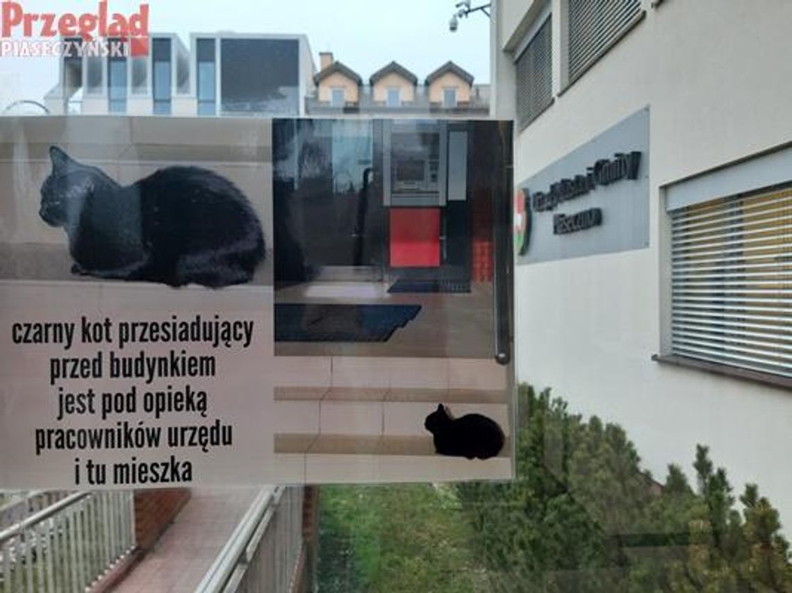 Sława Zdzisława, luksusy Rudolfa