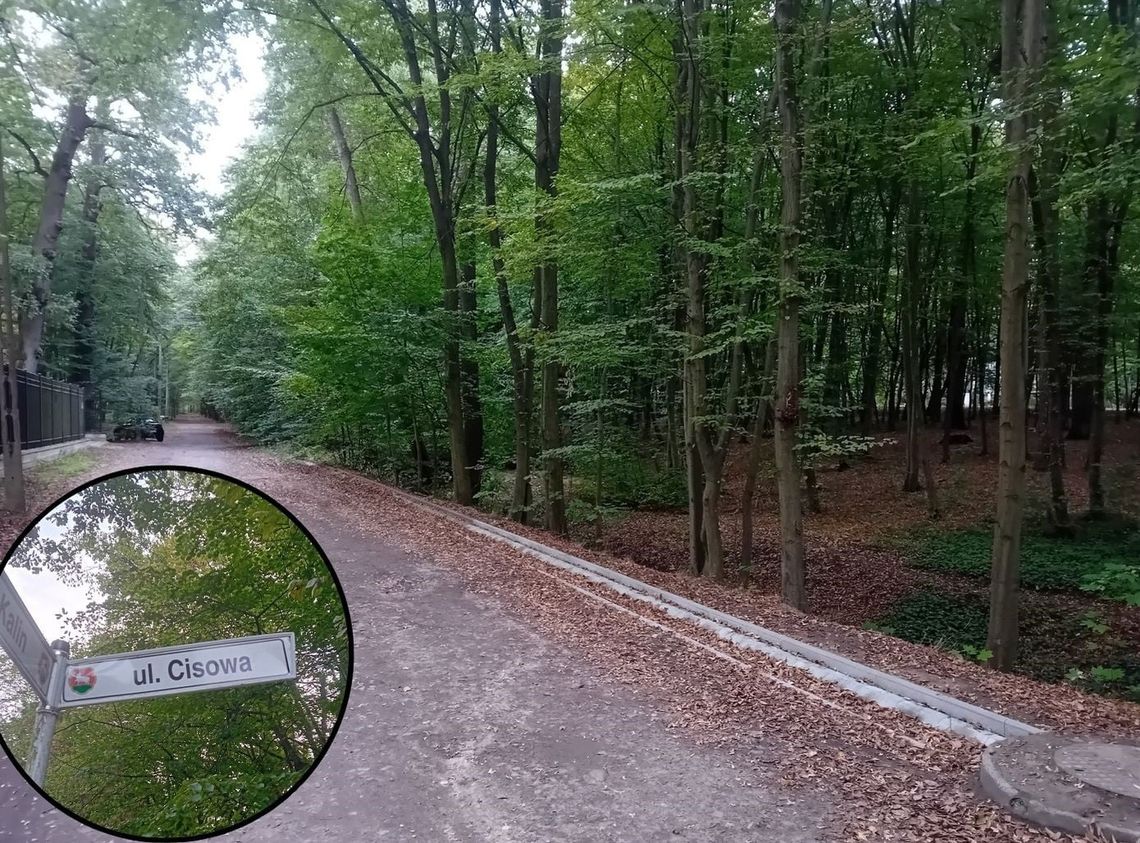Słupki, szlaban i latarnie – propozycje dla Zalesia Dolnego