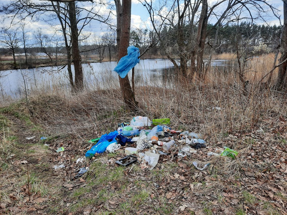 Sprzątanie świata na lądzie i w wodzie