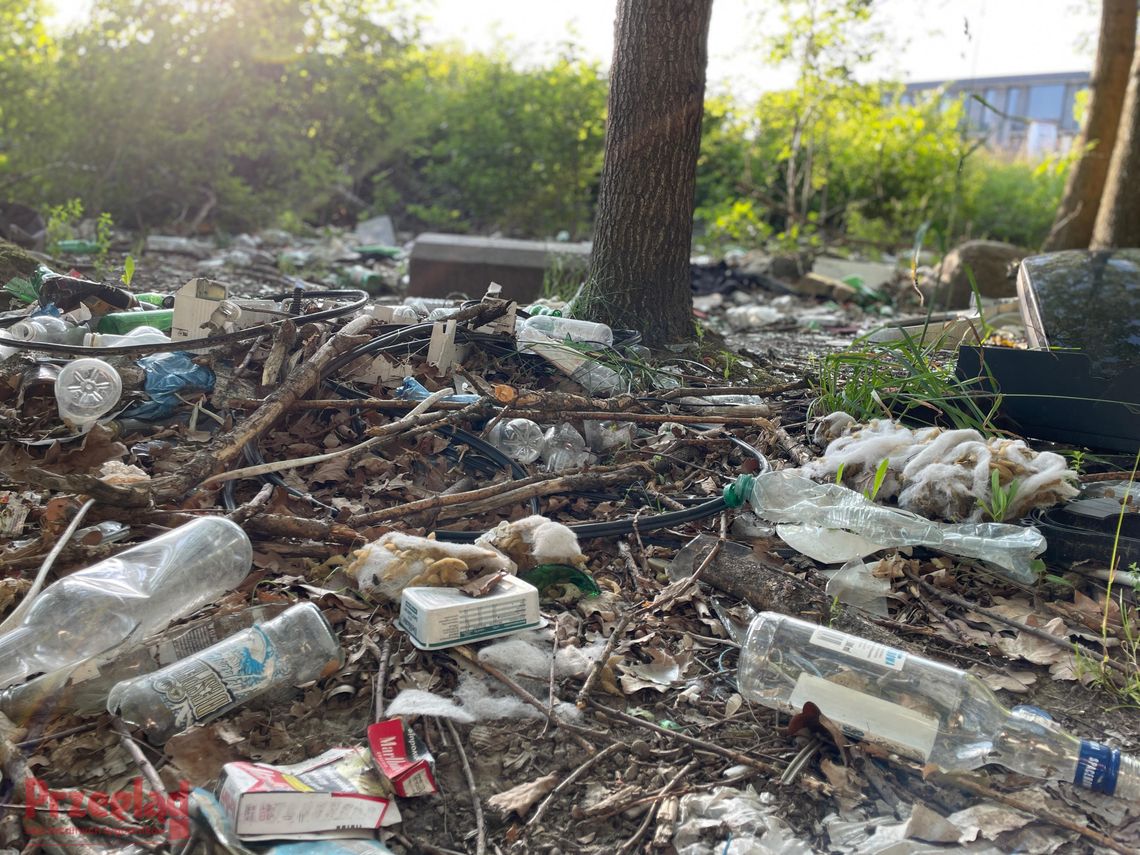 Sterty śmieci tuż obok galerii N‑Park. Wieloletni problem w Starej Iwicznej