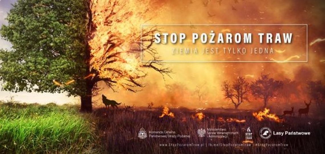 Stop pożarom traw, czyli nie podpalaj!