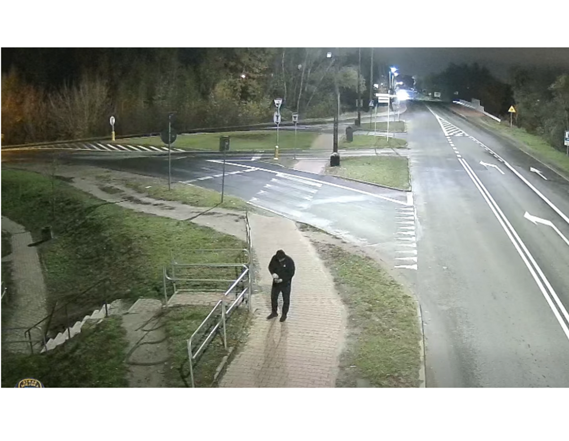 Straż miejska szuka sprawcy kradzieży kwiatów Straż miejska szuka sprawcy kradzieży kwiatów