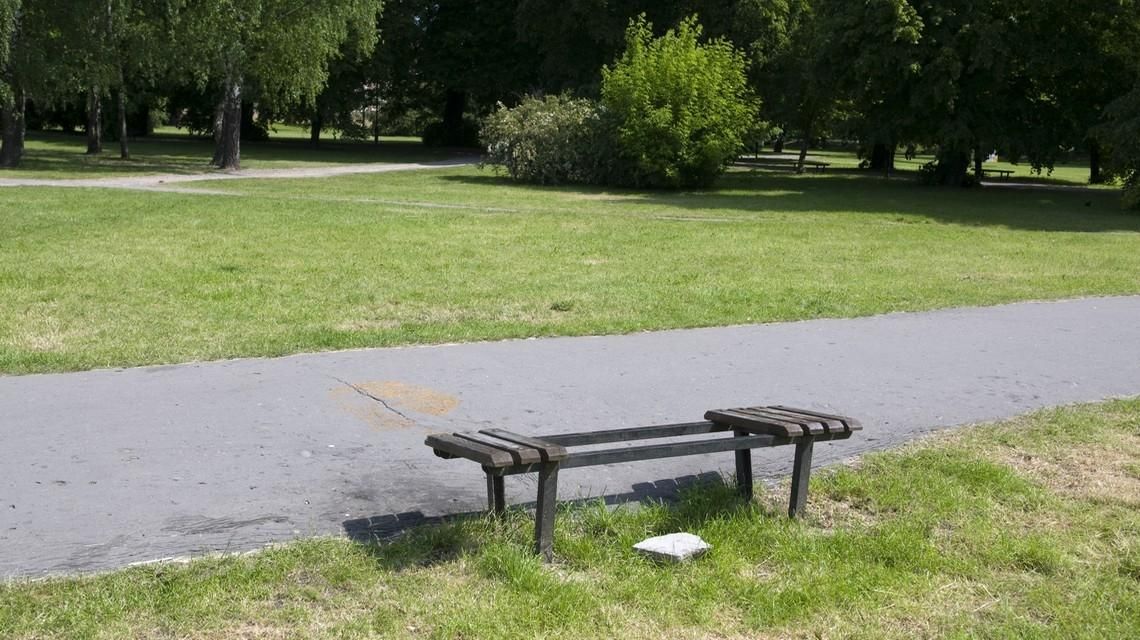 Telenowela pt. „Park”