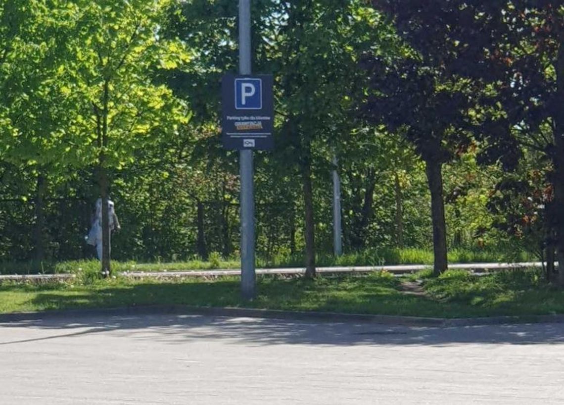 Udawała drzewo po kradzieży