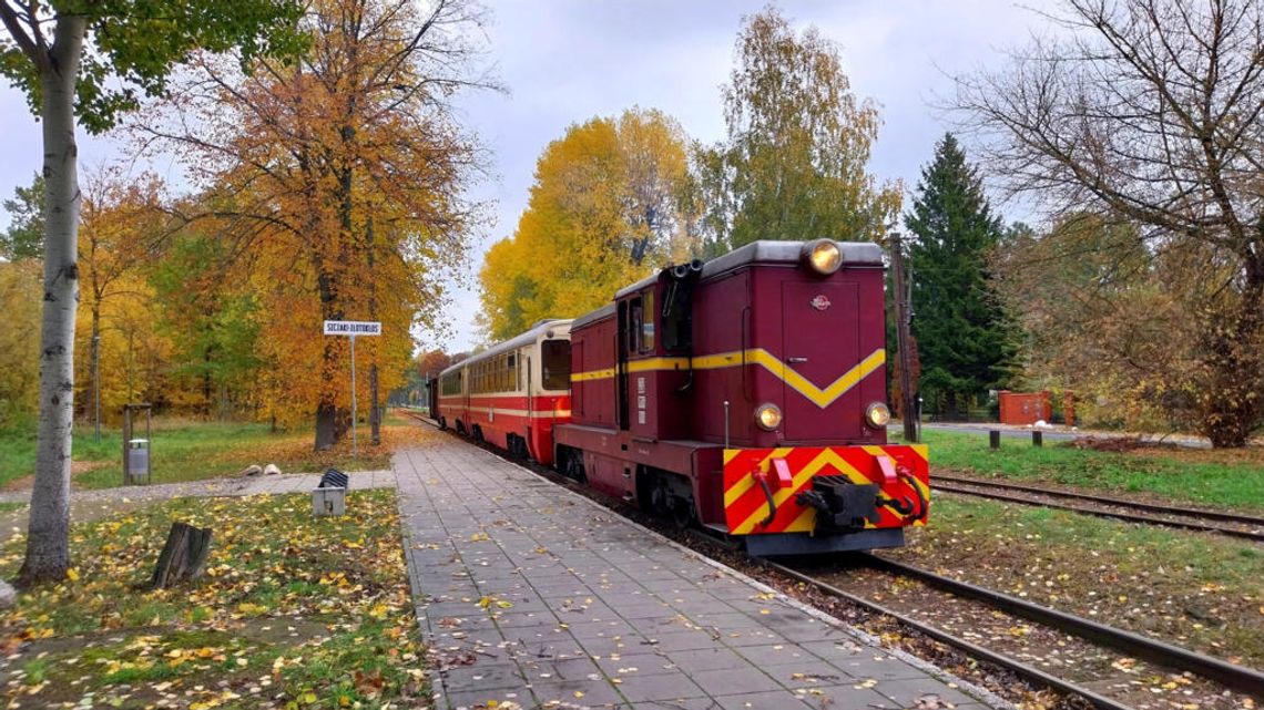 Wąskotorówka z szansą na drugie życie