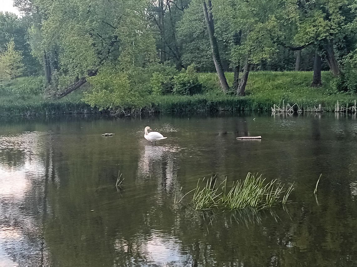 Weekendowa pogoda w Piasecznie
