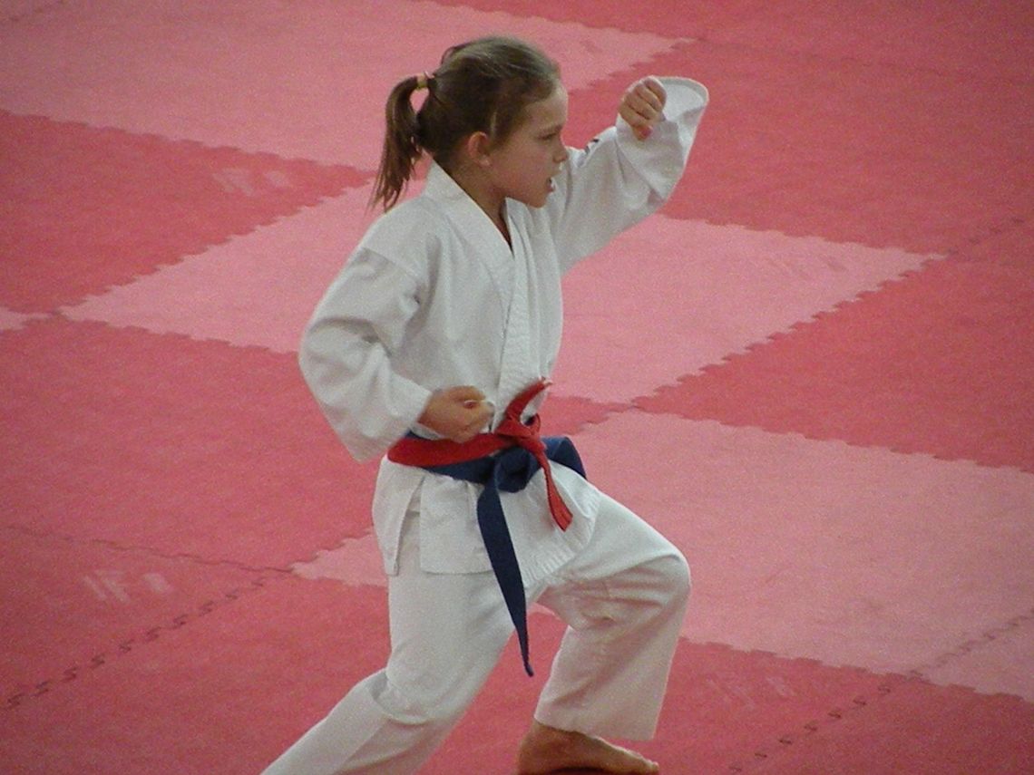 Wielki puchar karate