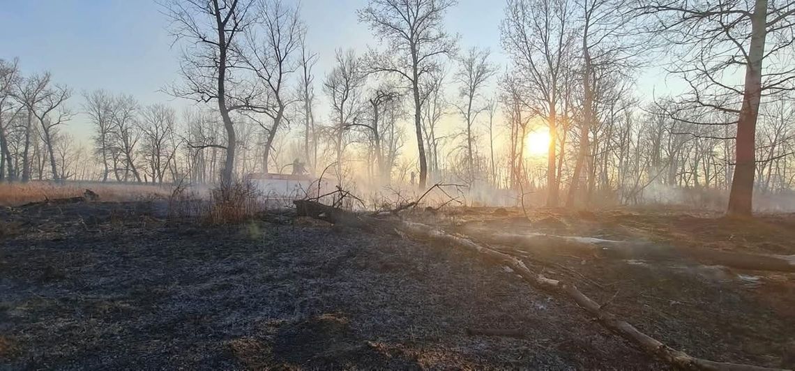 Wypalanie traw nadal problemem