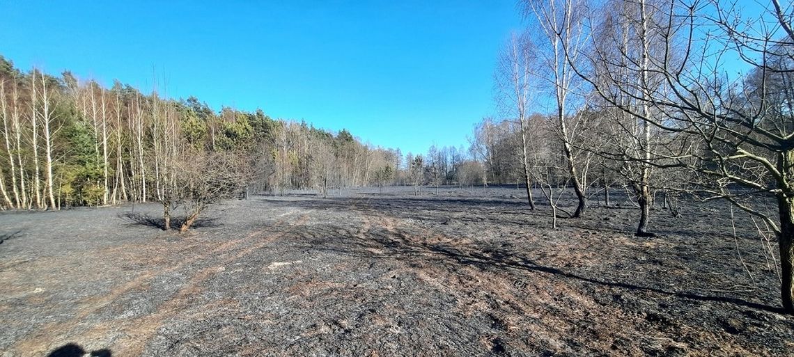 Wypalanie traw niesie śmierć i zniszczenie