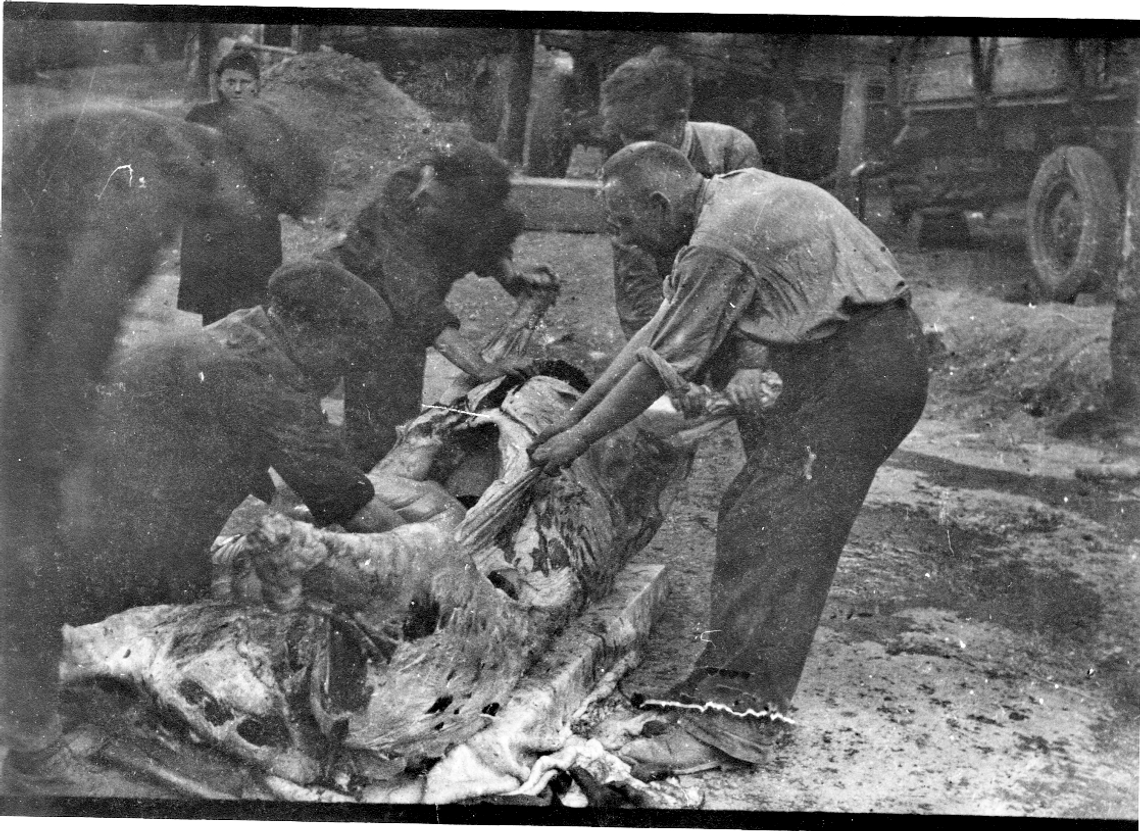 Z pamiętnika pani Leokadii, czyli historia kamienicy Poncyliuszów - część 4