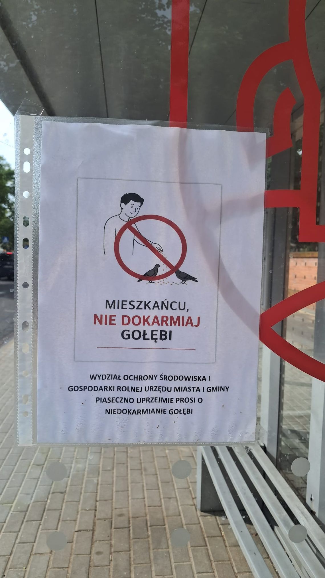 Zakaz karmienia gołębi? Zakaz karmienia gołębi?