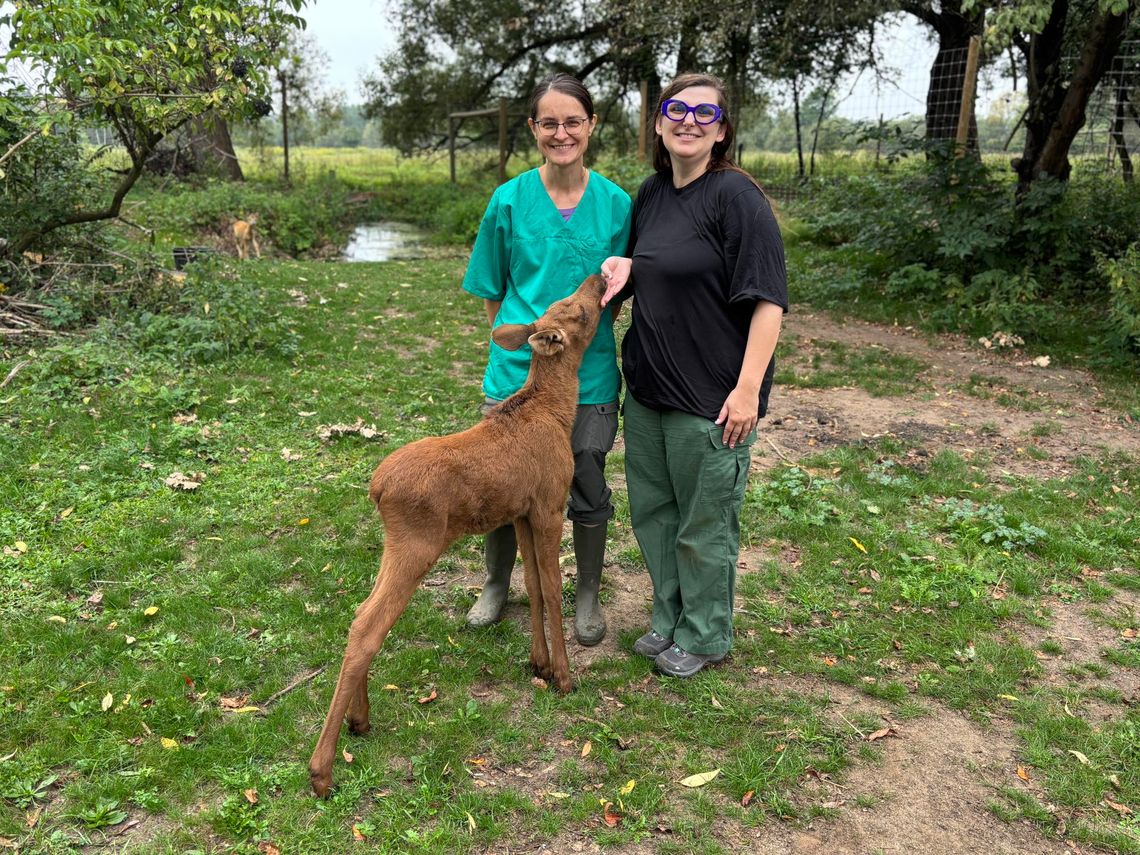 Zbiórka dla podopiecznych Fundacji „Kopytka z Nadzieją”. Zbiórka dla podopiecznych Fundacji „Kopytka z Nadzieją”.
