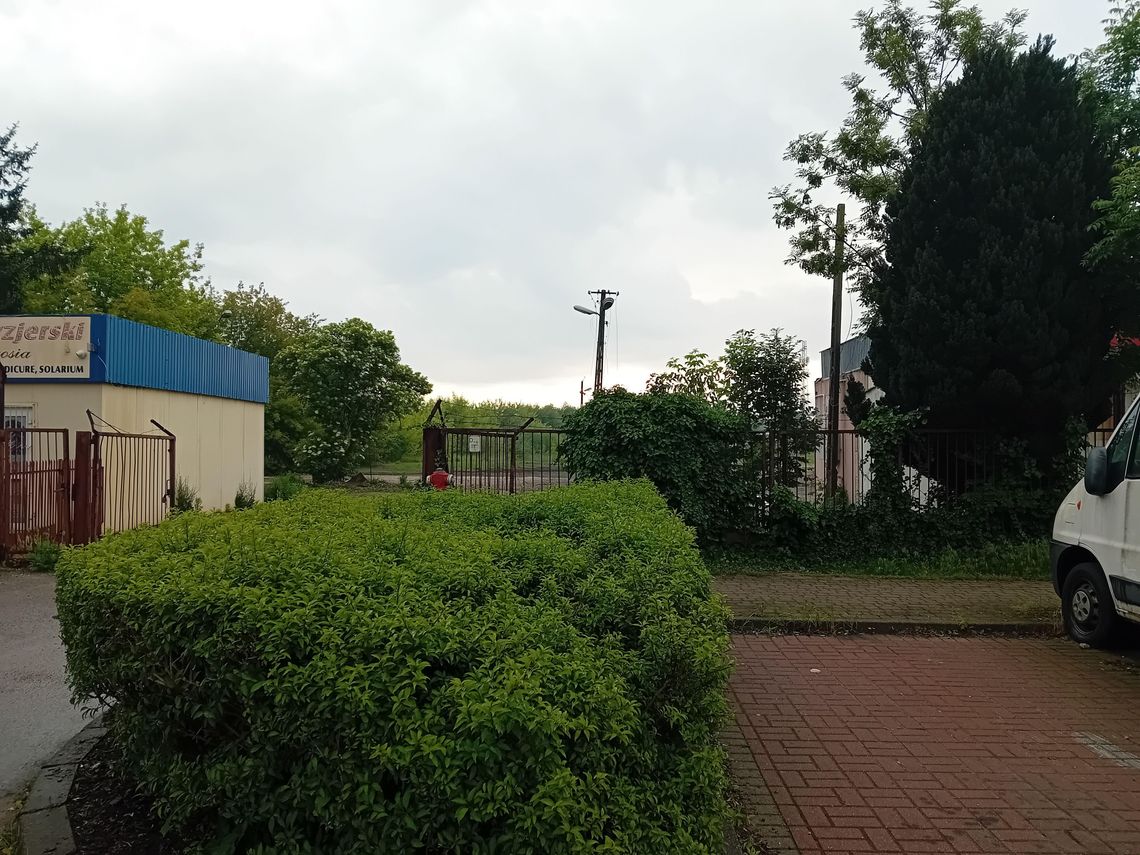 Żeberko niezgody