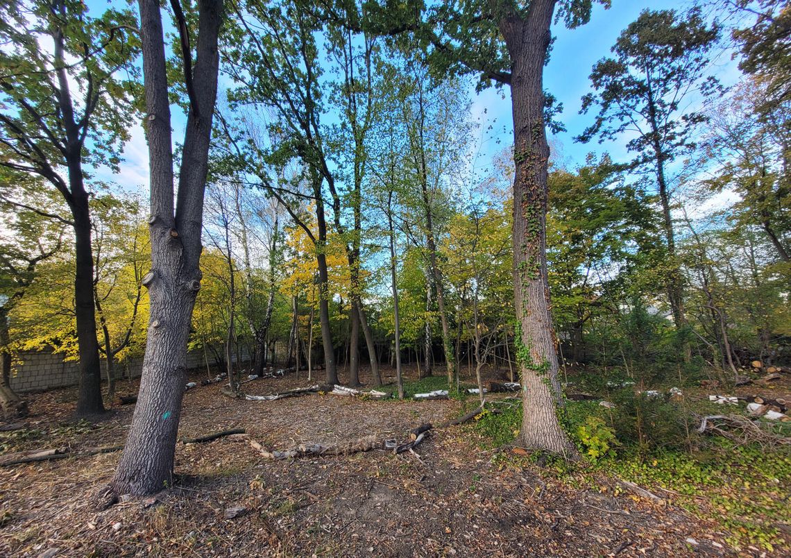 Zieleń dla wszystkich Zieleń dla wszystkich