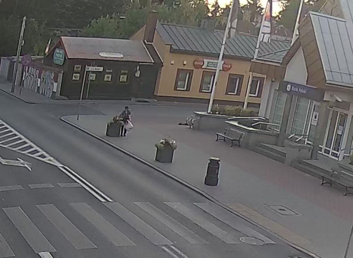 Złodziejka kwiatów schwytana! Straż miejska zatrzymała sprawczynię nocnych kradzieży w Górze Kalwarii