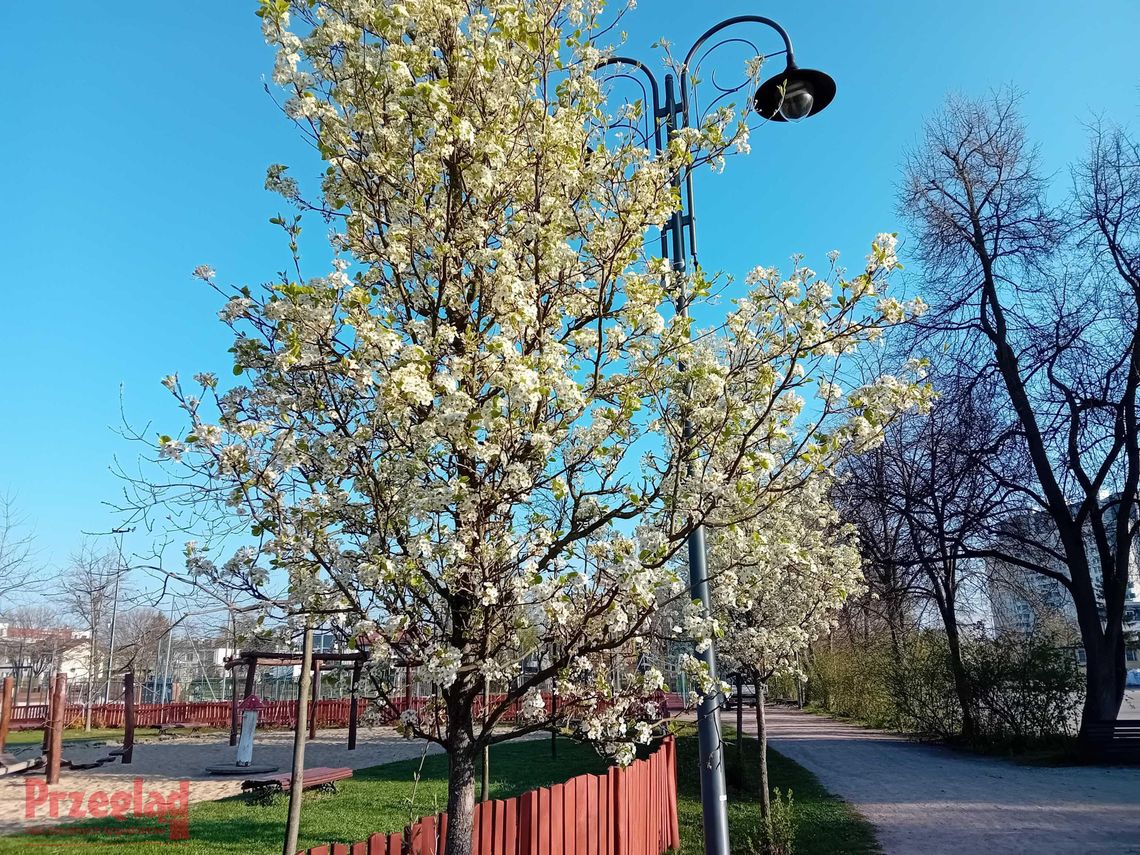 Zmienne warunki pogodowe w Piasecznie – prognoza na najbliższe dni
