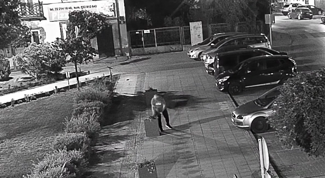 Znów kradną kwiaty w Górze Kalwarii Znów kradną kwiaty w Górze Kalwarii