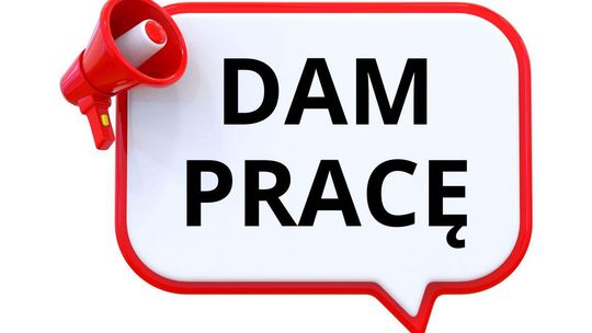 Zatrudnię Mechanika samochodowego, wysokie wynagrodzenie