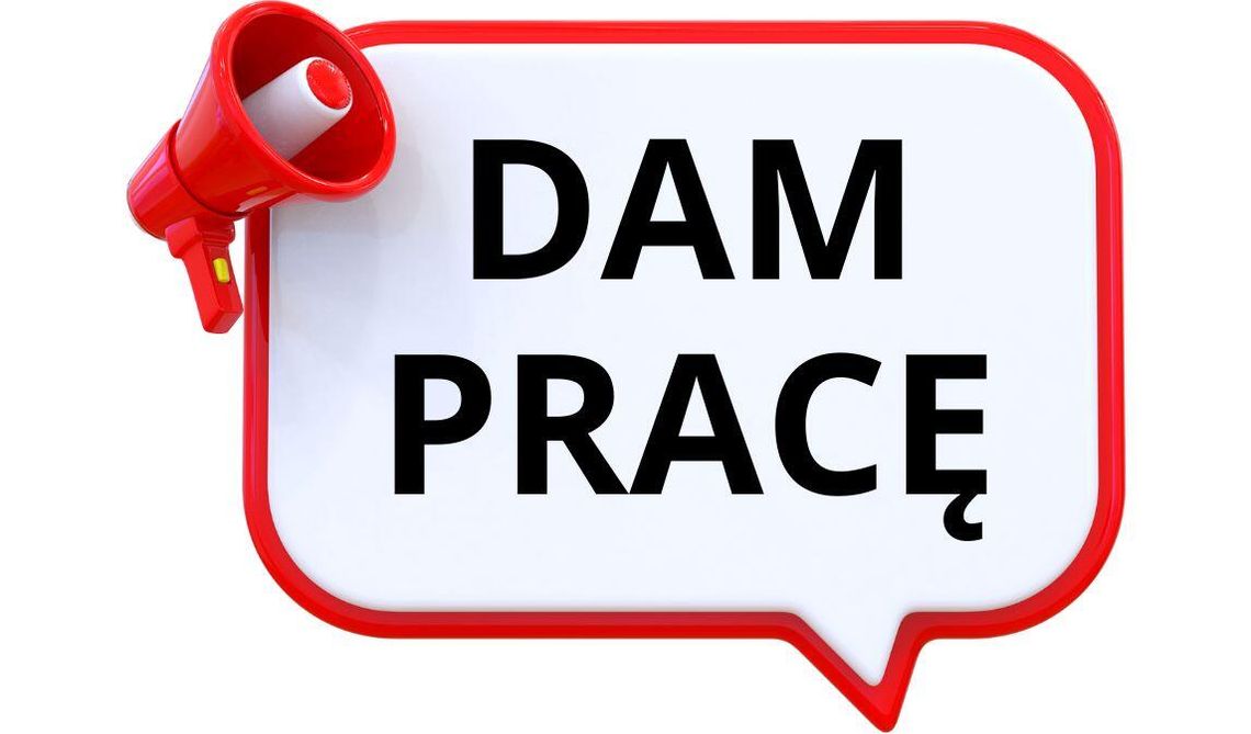 Zatrudnię Mechanika samochodowego, wysokie wynagrodzenie