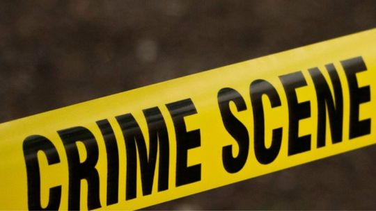 Crime scene. Seans kryminalny Projekcje wybitnych filmów sensacyjnych