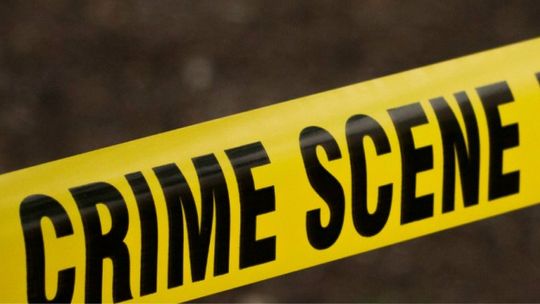 Crime scene. Seans kryminalny Projekcje wybitnych filmów sensacyjnych