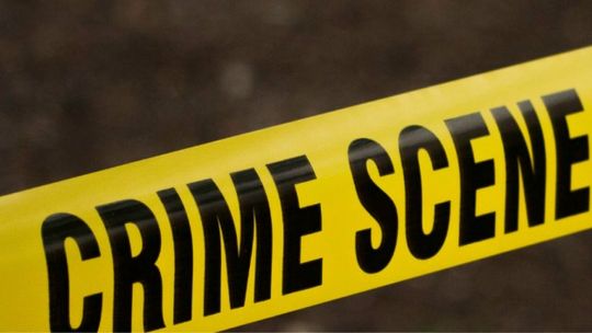Crime scene. Seans kryminalny Projekcje wybitnych filmów sensacyjnych