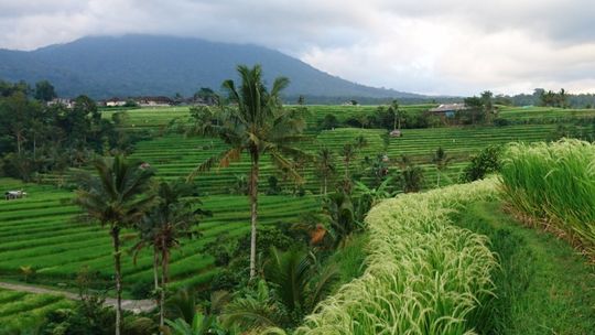KLUB PODRÓŻNIKA. TAJEMNICZE BALI I REJS NA KOMODO