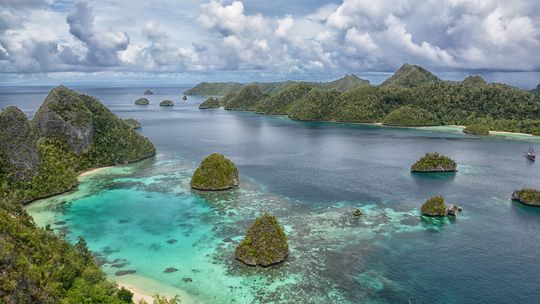 PAPUA. OSTATNI KANIBALE - Spotkanie z Anitą Pogorzelską