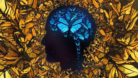 PASJODZIELENIE. Spotkanie z Małgorzatą Chludzińską