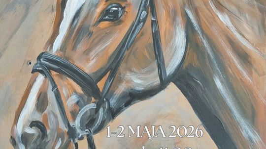 Zawody jeździeckie z okazji Święta Flagi