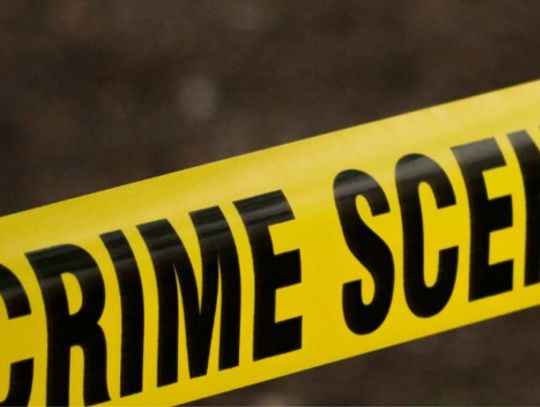 Crime scene. Seans kryminalny Projekcje wybitnych filmów sensacyjnych