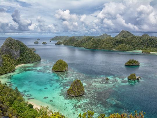 PAPUA. OSTATNI KANIBALE - Spotkanie z Anitą Pogorzelską PAPUA. OSTATNI KANIBALE - Spotkanie z Anitą Pogorzelską