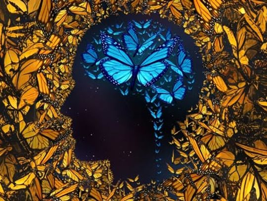 PASJODZIELENIE. Spotkanie z Małgorzatą Chludzińską