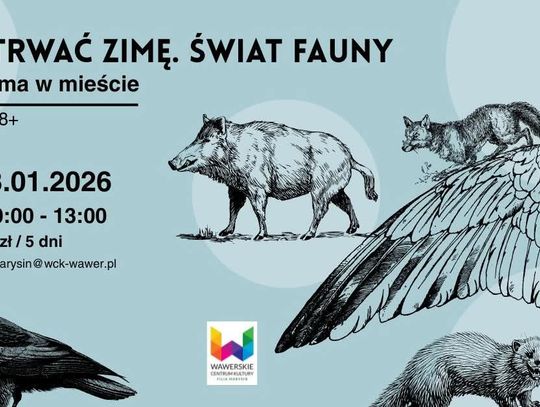 Przetrwać zimę. Świat fauny